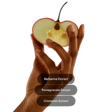 Patches de Berberina – Controle Natural do Apetite e Apoio ao Metabolismo