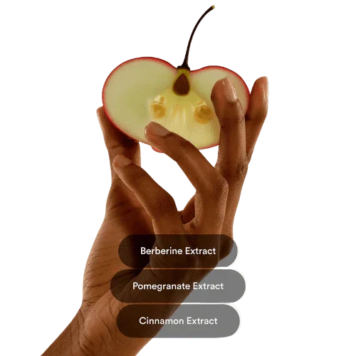 Patches de Berberina – Controle Natural do Apetite e Apoio ao Metabolismo