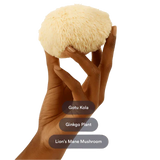 Patches Brainpower – Clareza Mental, Foco e Suporte Cognitivo Natural