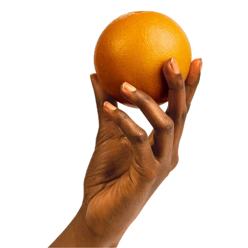 Patches MB – Suporte Metabólico, Energia e Equilíbrio para o Dia a Dia