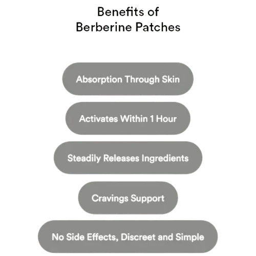 Patches de Berberina – Controle Natural do Apetite e Apoio ao Metabolismo