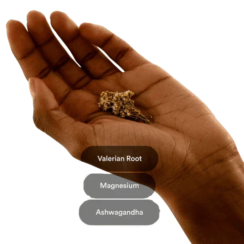 Dream Patches - Valerian Root